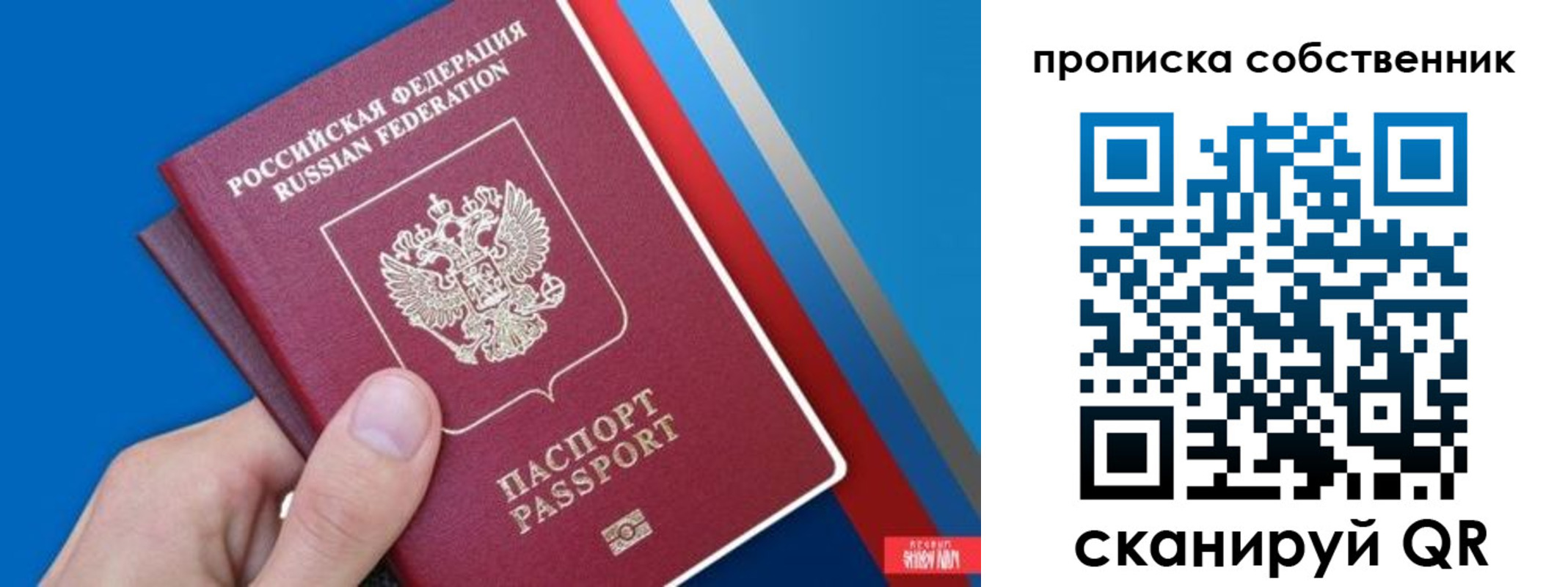 прописка в квартире в Палласовке