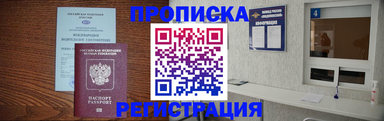 временная регистрация гарантия в Палласовке